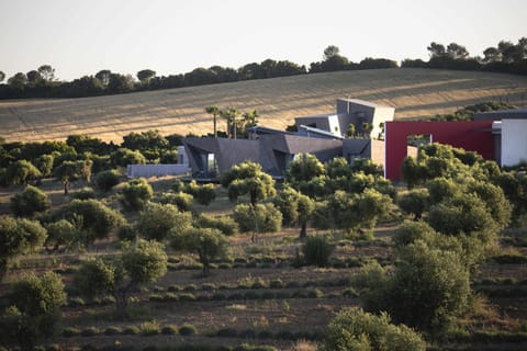 Natural landscape