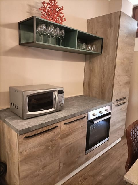 Kitchen or kitchenette, minibar, pet friendly