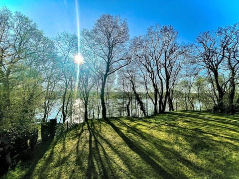 Nearby landmark, Day, Natural landscape, Garden, Garden, Garden view, Lake view