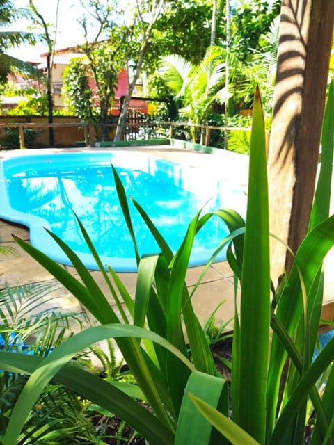 Garden, Garden view, Pool view, Swimming pool