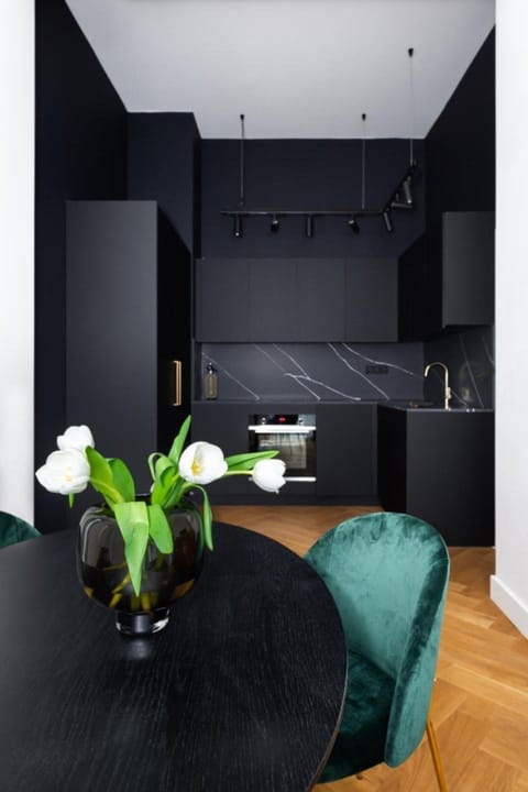 Kitchen or kitchenette, oven, stove