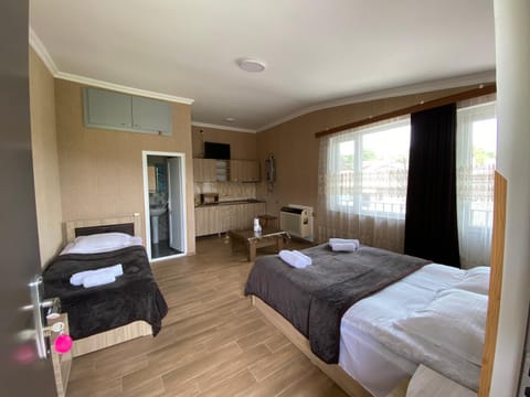 Bed, TV and multimedia, Kitchen or kitchenette, Photo of the whole room, Bedroom, towels, wardrobe, kitchen