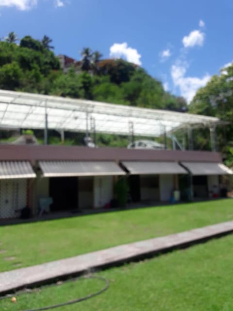 Property building, Garden view
