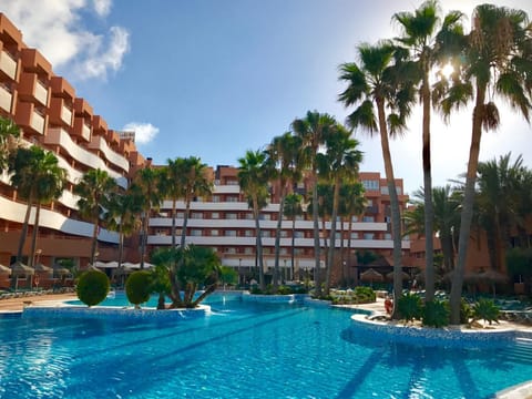 Garden, Swimming pool