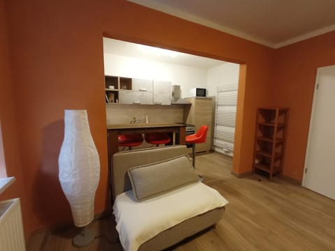 Kitchen or kitchenette, Living room, Seating area, Dining area, kitchen