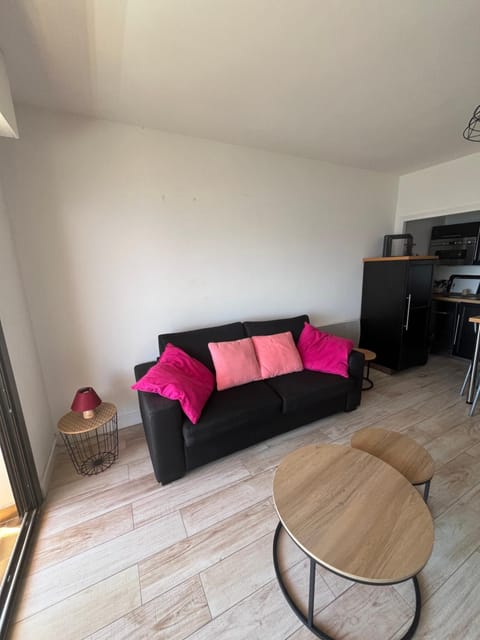 SUPERBE APPARTEMENT FACE AUX ILES SANGUINAIRES Apartment in Ajaccio