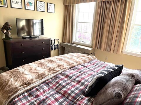 Unique Yeti-Theme Ski On Off Suite Jiminy-Sleeps 4 Apartment in Lanesborough