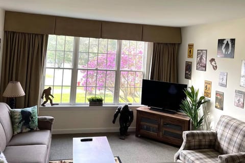 Unique Yeti-Theme Ski On Off Suite Jiminy-Sleeps 4 Apartment in Lanesborough