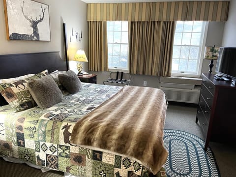 Deluxe Ski On Off 1BR Suite Sleeps 4 on Jiminy Mtn Apartment in Lanesborough