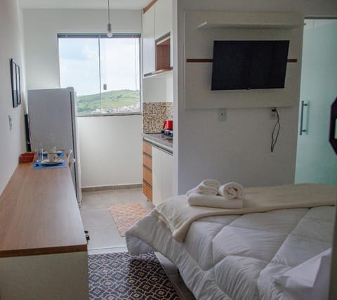 Bed, TV and multimedia, Kitchen or kitchenette, Photo of the whole room, Bedroom, oven, towels
