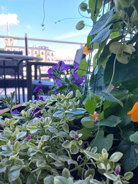 Boutique Hotel De Oude Veste Hotel in Hellevoetsluis