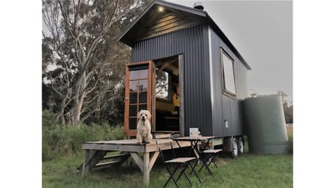 Property building, Pets