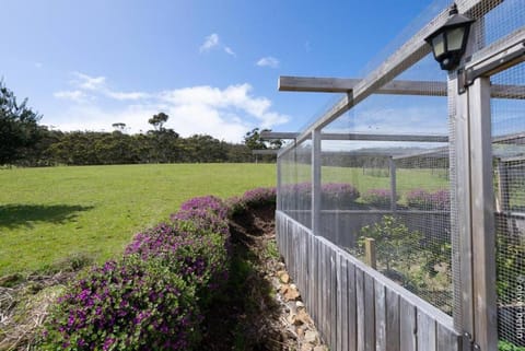 Apollo's Rest House in Tasmania