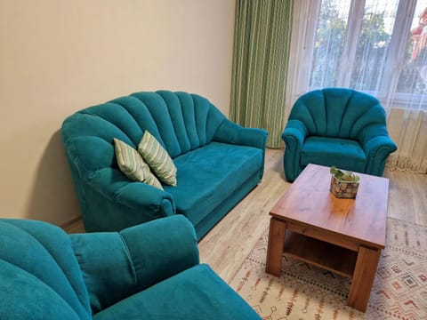 ORI Modern Apart Malul Muresului , Arad Apartment in Timiș County