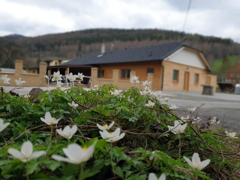 Property building, Natural landscape, Mountain view