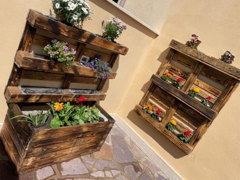 Tommy House 19 Apartment in Fiumicino