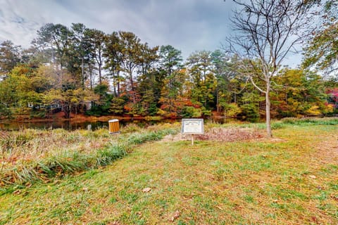 Town of Rehoboth Beach - 50A Olive Ave Apartment in Henlopen Acres