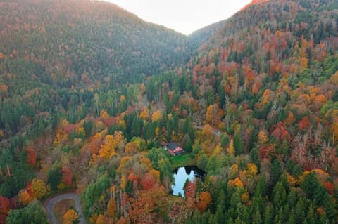 Property building, Natural landscape, Bird's eye view, Autumn, Mountain view