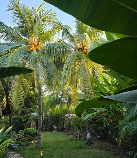 Natural landscape, Garden, Garden view