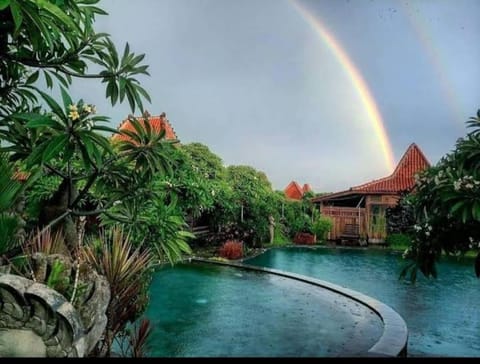 Natural landscape, Swimming pool, Swimming pool