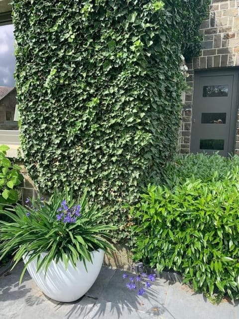 Les Rhododendrons Apartment in Wallonia, Belgium