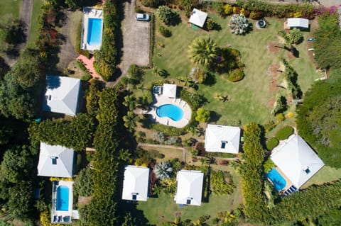 Natural landscape, Bird's eye view, Garden, Garden, Garden view, Pool view