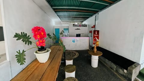 My Capsule Canggu Hostel in North Kuta