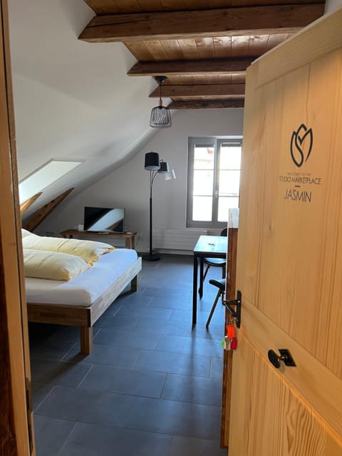 Studio JASMINE interlaken Apartment in Interlaken