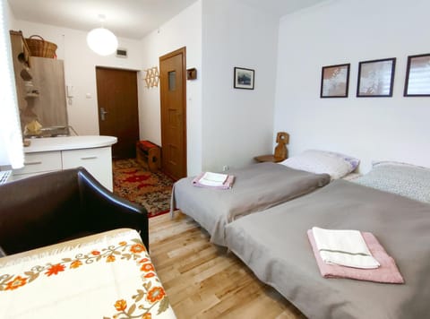 Bed, Kitchen or kitchenette, Living room, Photo of the whole room, Seating area, Bedroom