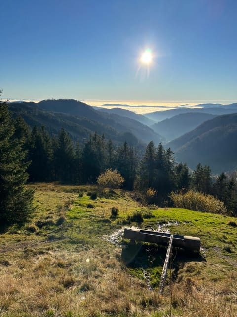 Spring, Natural landscape, Mountain view