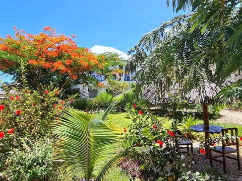 Day, Natural landscape, Garden, Garden, Garden view, Inner courtyard view