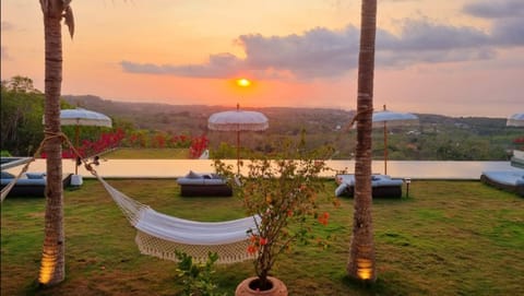 Natural landscape, Garden view, Sunset