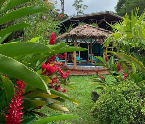Day, Natural landscape, Garden