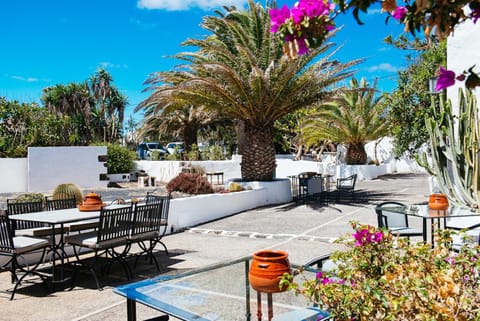 Patio, Garden, Decorative detail, Garden view, Area and facilities