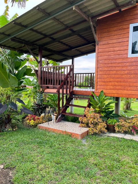 Garden, Balcony/Terrace