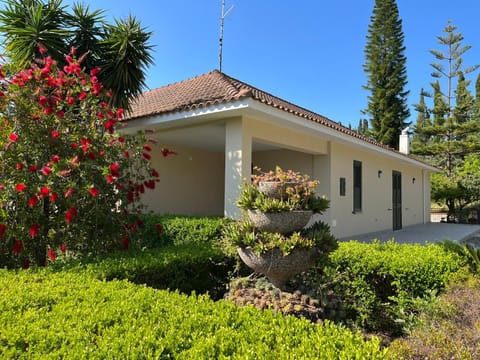 Property building, Garden, Garden view