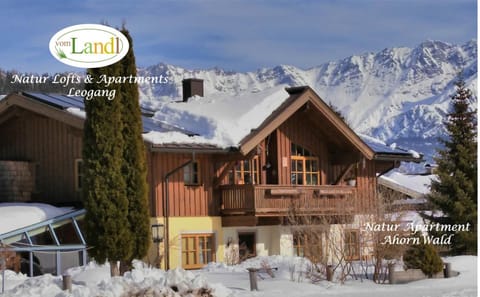 Property building, Natural landscape, Winter, Mountain view