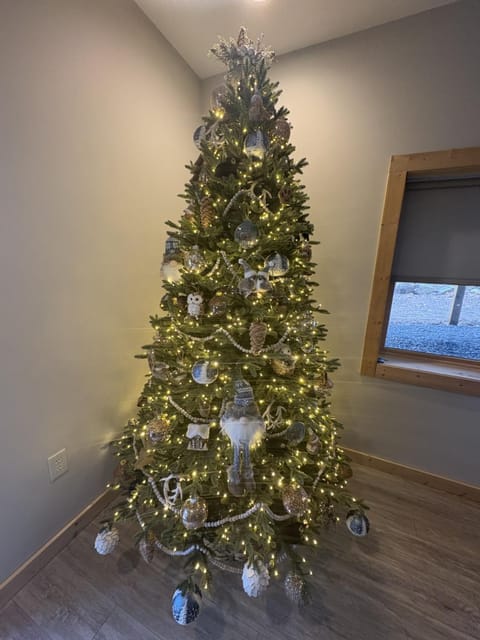 Parhelion Chalet House in Garrett County