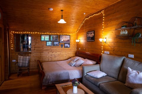 Living room, Photo of the whole room, Seating area