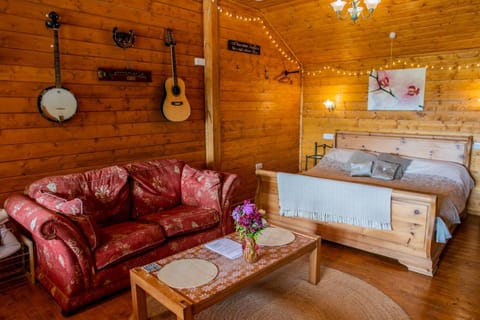Bed, Living room, Photo of the whole room, Seating area, Bedroom