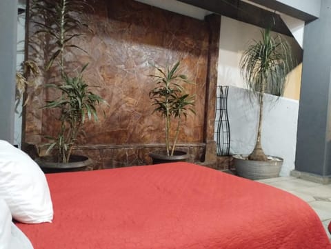 Gran México Bed and Breakfast in Mexico City