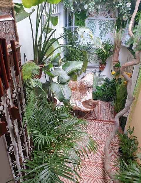 Patio, Garden