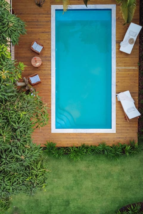 Garden, Pool view, Swimming pool, sunbed