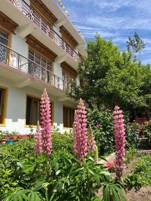 Property building, Day, Summer, Garden, Garden view, Time of day