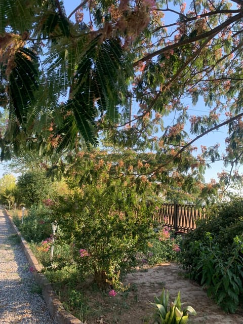 Villa Luigia Villa in Lombardy