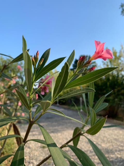 Villa Luigia Villa in Lombardy