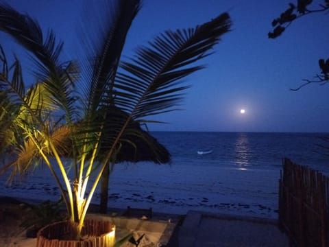 Night, Natural landscape, Beach, Sea view