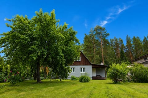 Day, Garden, Garden view
