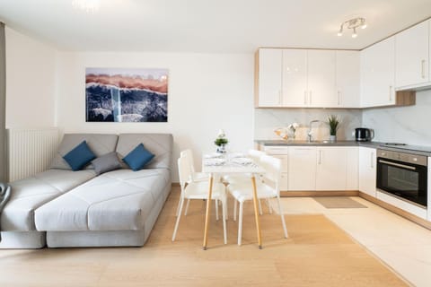 Kitchen or kitchenette, Living room, Seating area, Dining area, stove