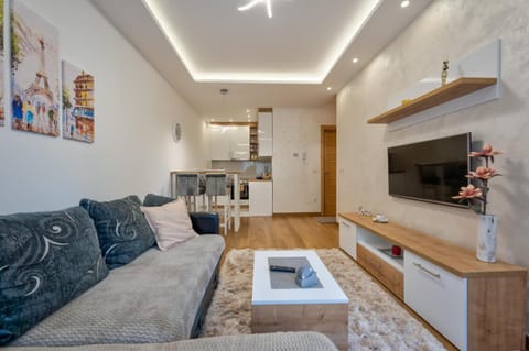 TV and multimedia, Kitchen or kitchenette, Living room, Seating area